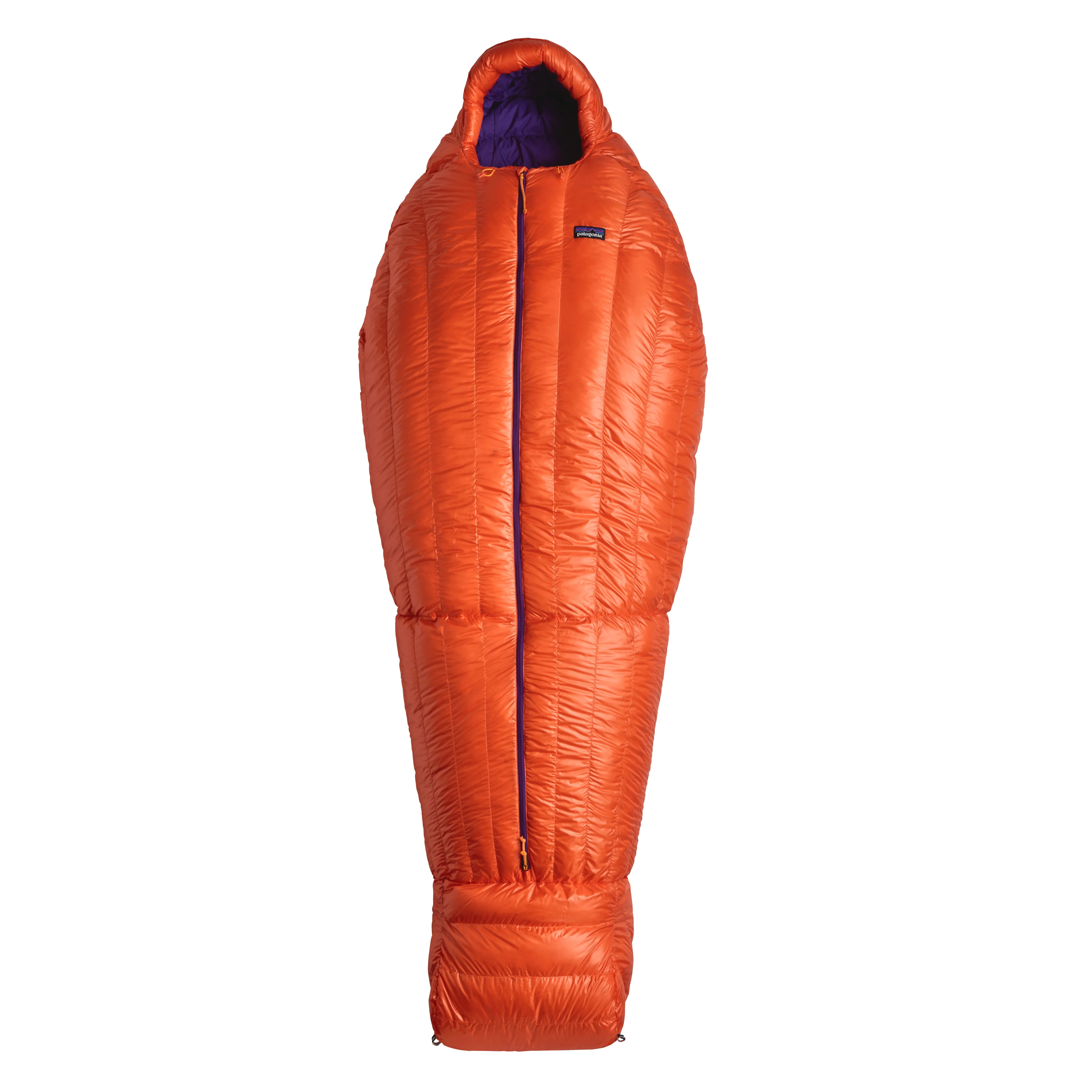850 Down Sleeping Bag 19 F/-7 C - Regular