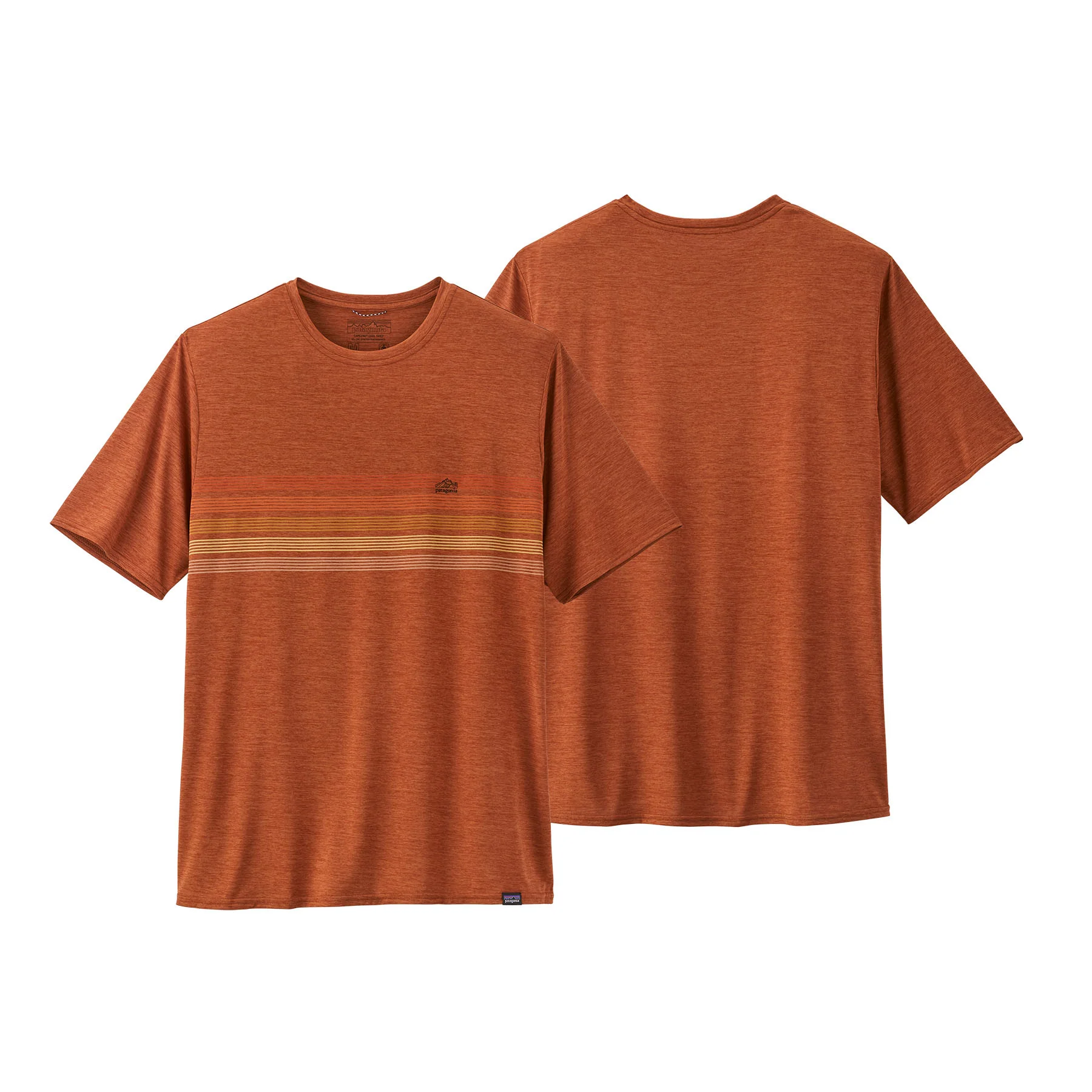 Men's Capilene® Cool Daily Graphic Shirt